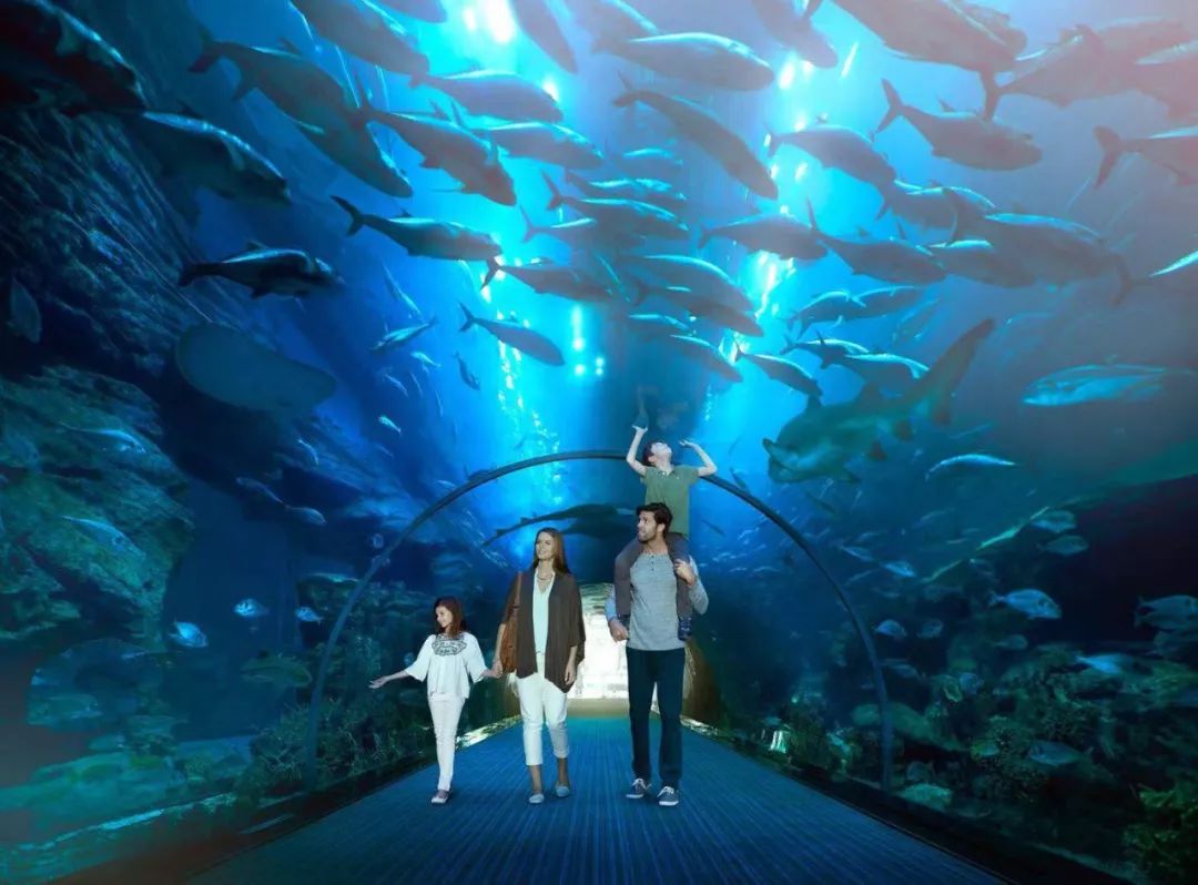 世界上最大的圆柱水族馆
