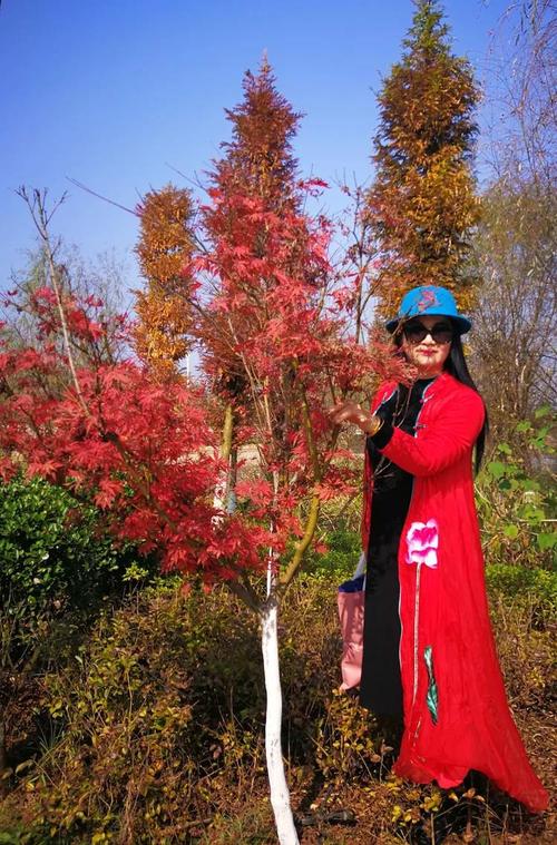 养老服务设施包括什么