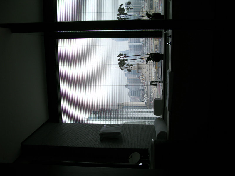 哥白尼是怎么死的？为何外界传闻他是被烧死的