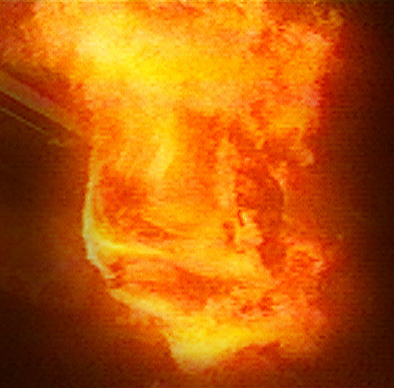 青天衙门之龙儿 青天衙门之龙儿