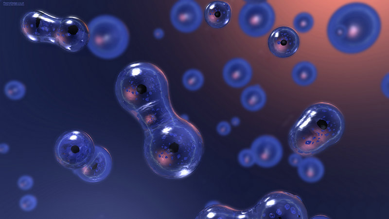 谶语中的历史：秦国灭亡的三个神秘预言