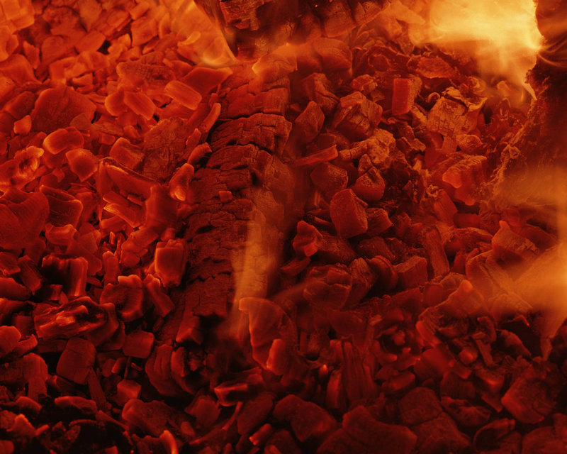 月嫂公司哪个好