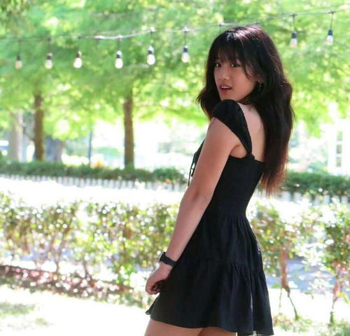 有hcip找什么类型的工作