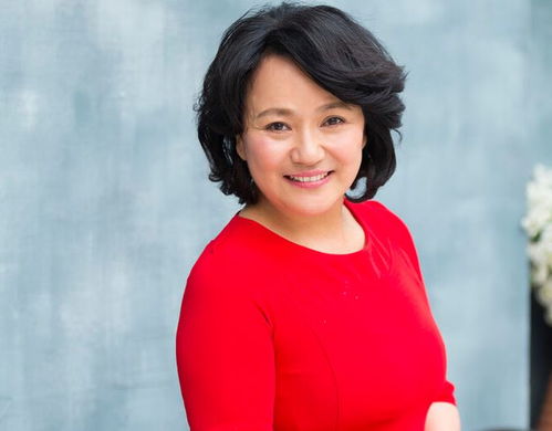 怎么办失业保险金