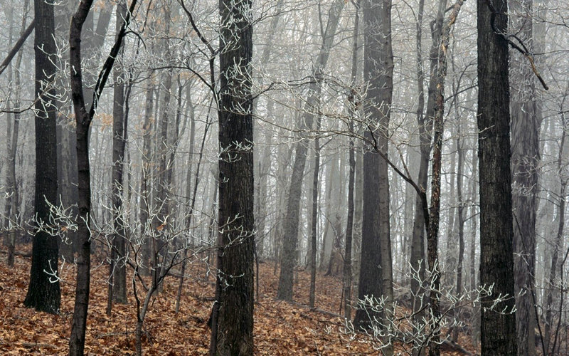 清宫四大悬案 你都知道么？