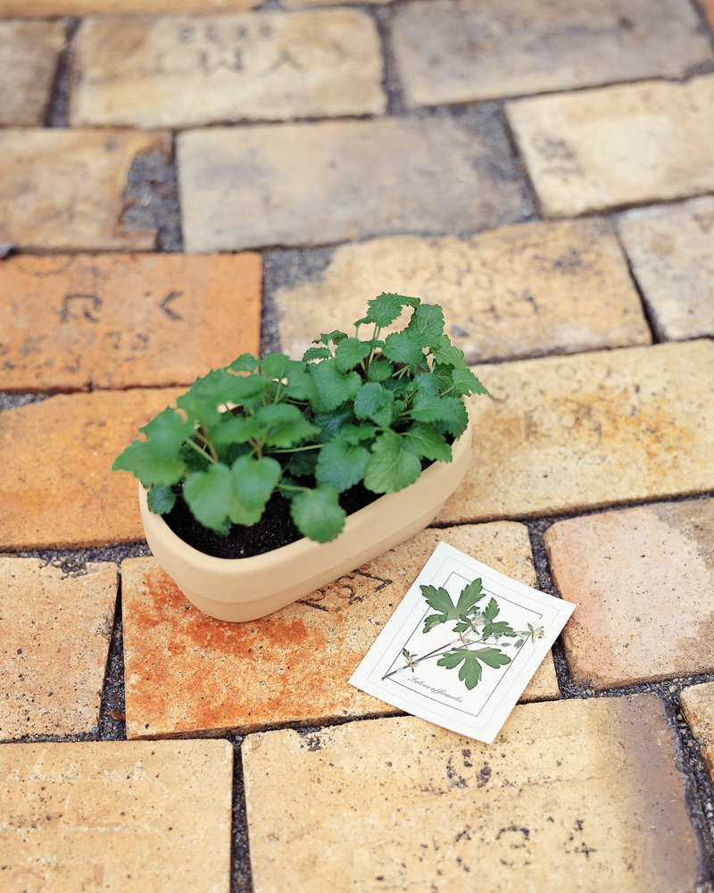 北魏孝文帝改革背后的女人：守寡也不安分的冯