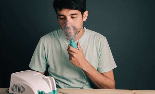 网站开发的基本流程