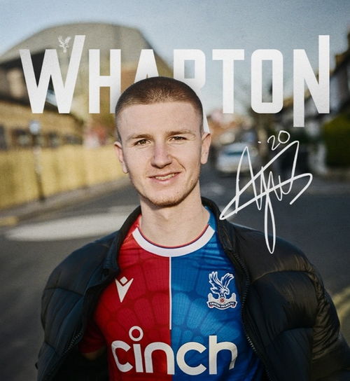 新生儿双胞胎起名 新生儿双胞胎起名