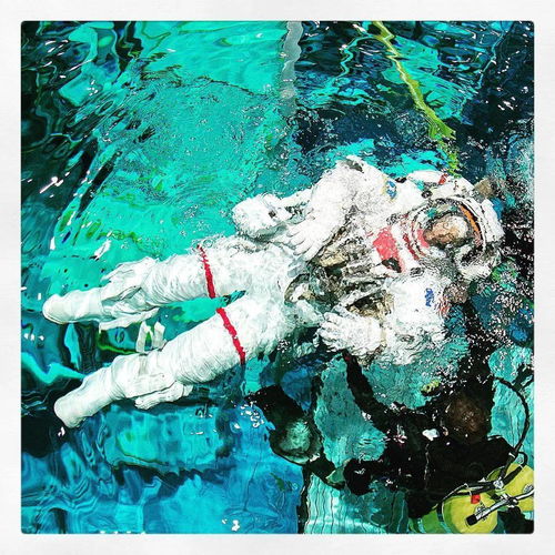 山东富豪1.2亿买上海700平江景豪宅