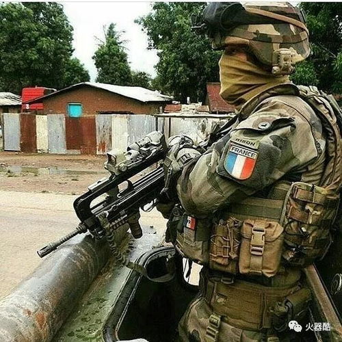 linux文件权限查看