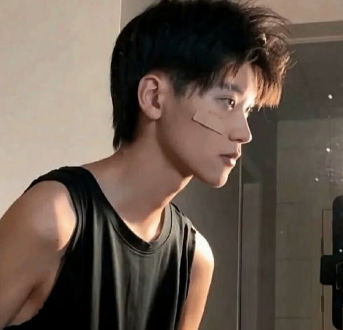 潘石屹老婆张欣与骆家辉（潘石屹的老婆是谁）