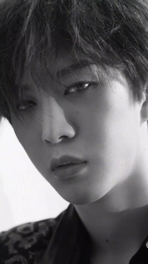 北京社会保险(北京社保三个档次)